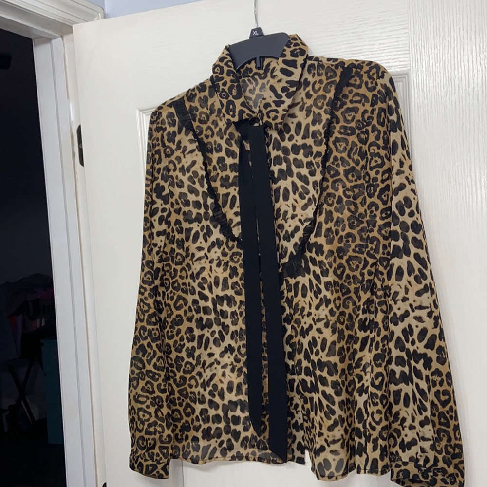 Cheetah Sheer Long Sleeve Blouse